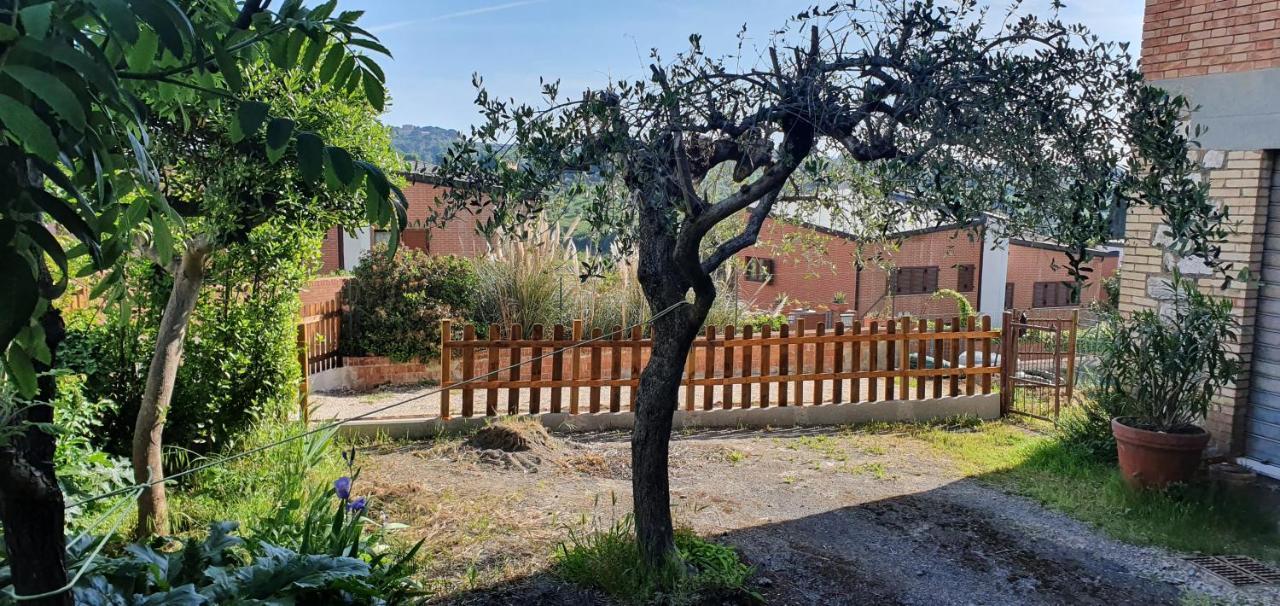 锡耶纳La Casina Di Jo公寓 外观 照片